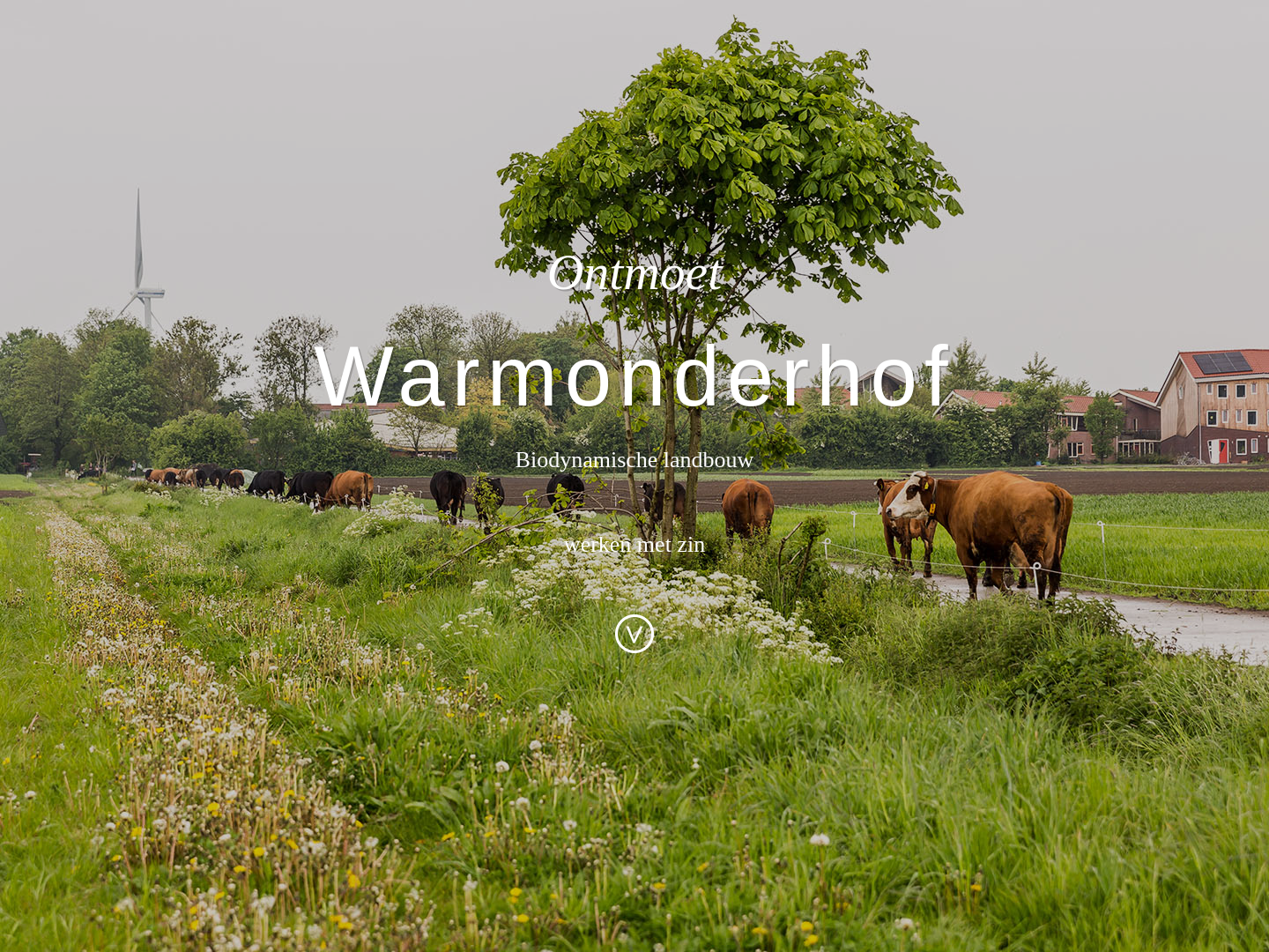 Warmonderhof