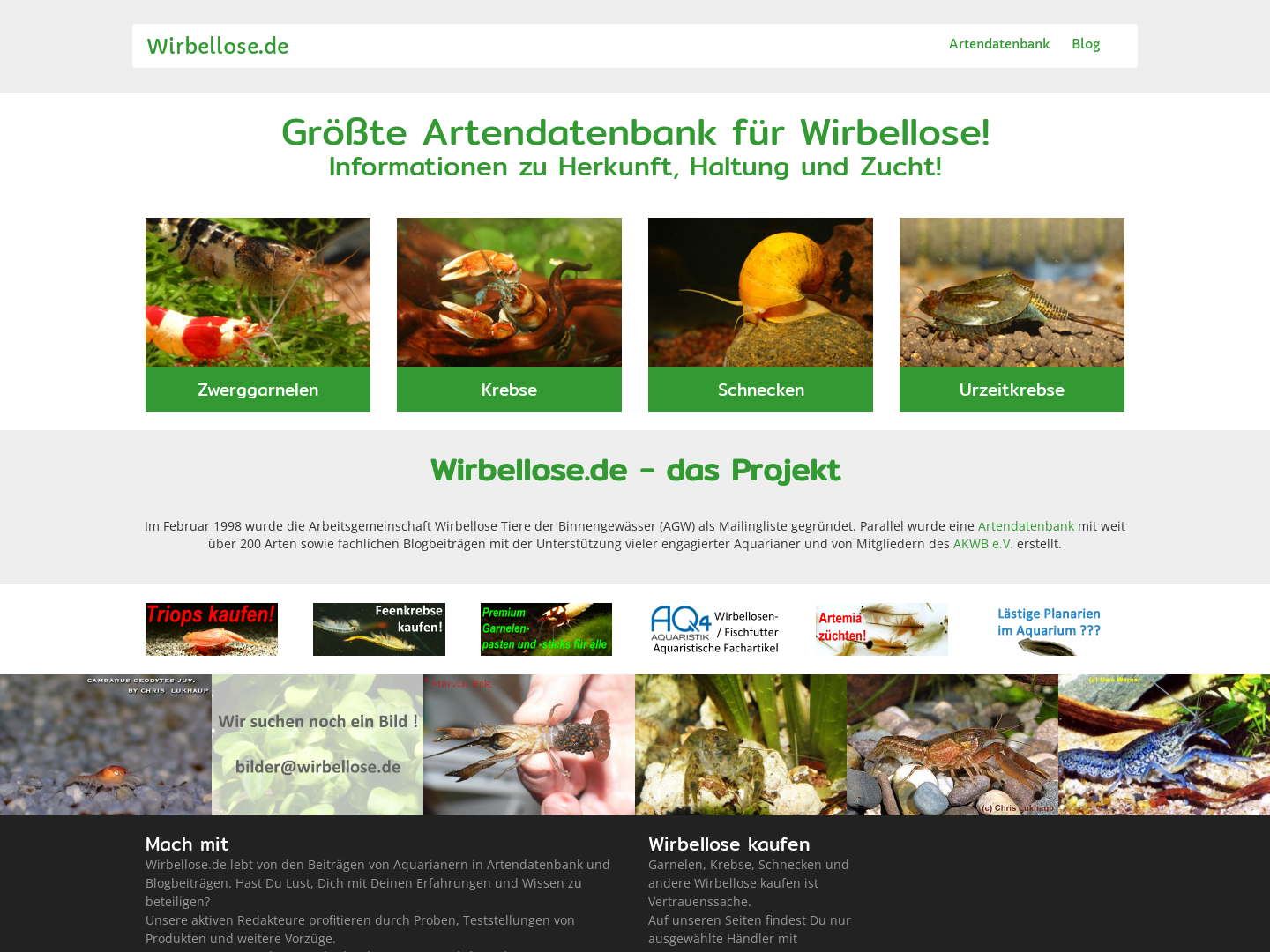 Wirbellose.de